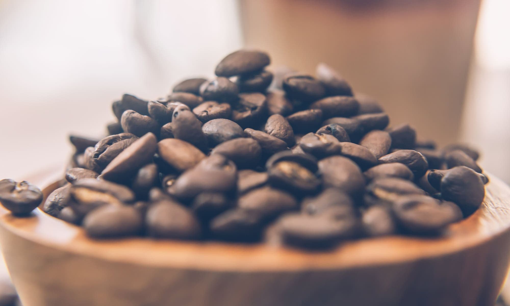 Close-up of unroasted green coffee beans
